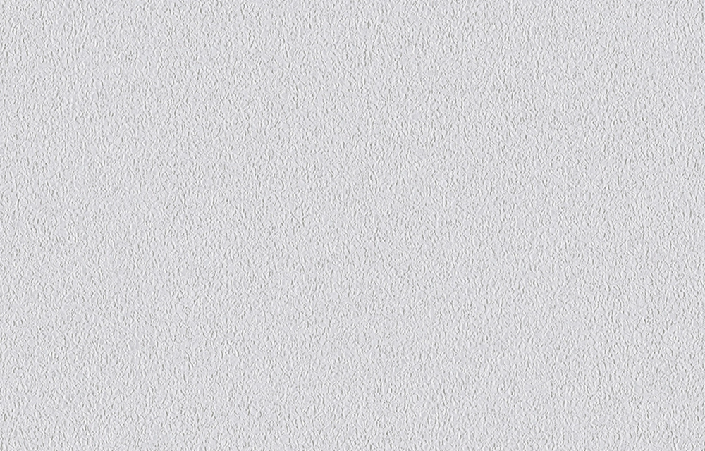 Erfurt Vliestapete Vliesfaser 564 PRO