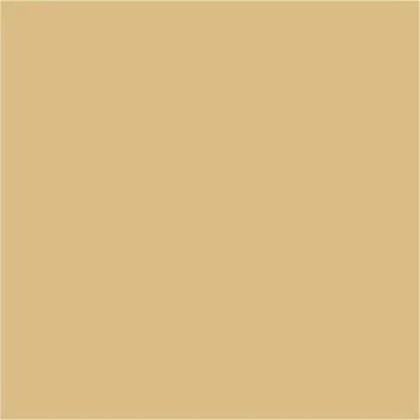 Farbkarte RAL 1001 Beige Farbkarte RAL 1001 Beige