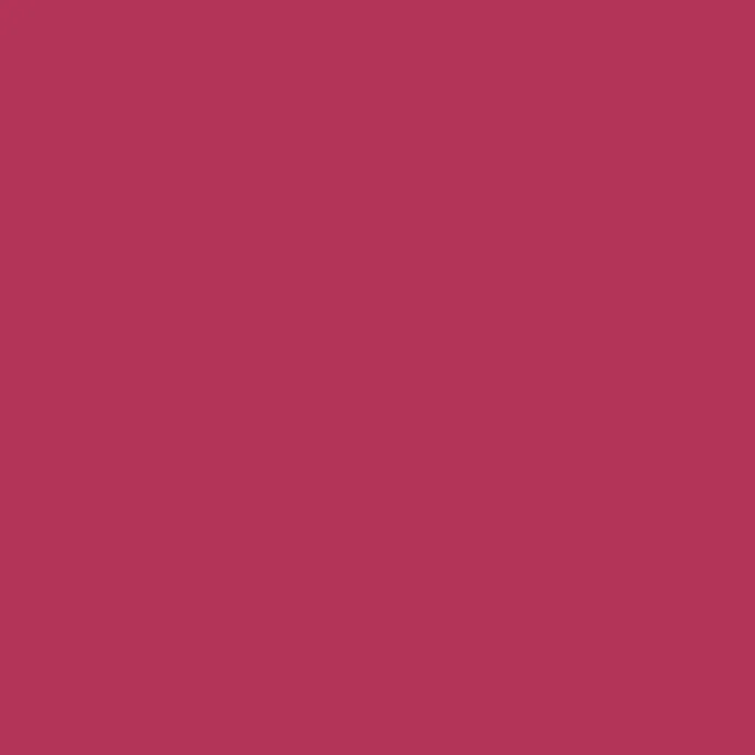 Rose 95 Farbkarte