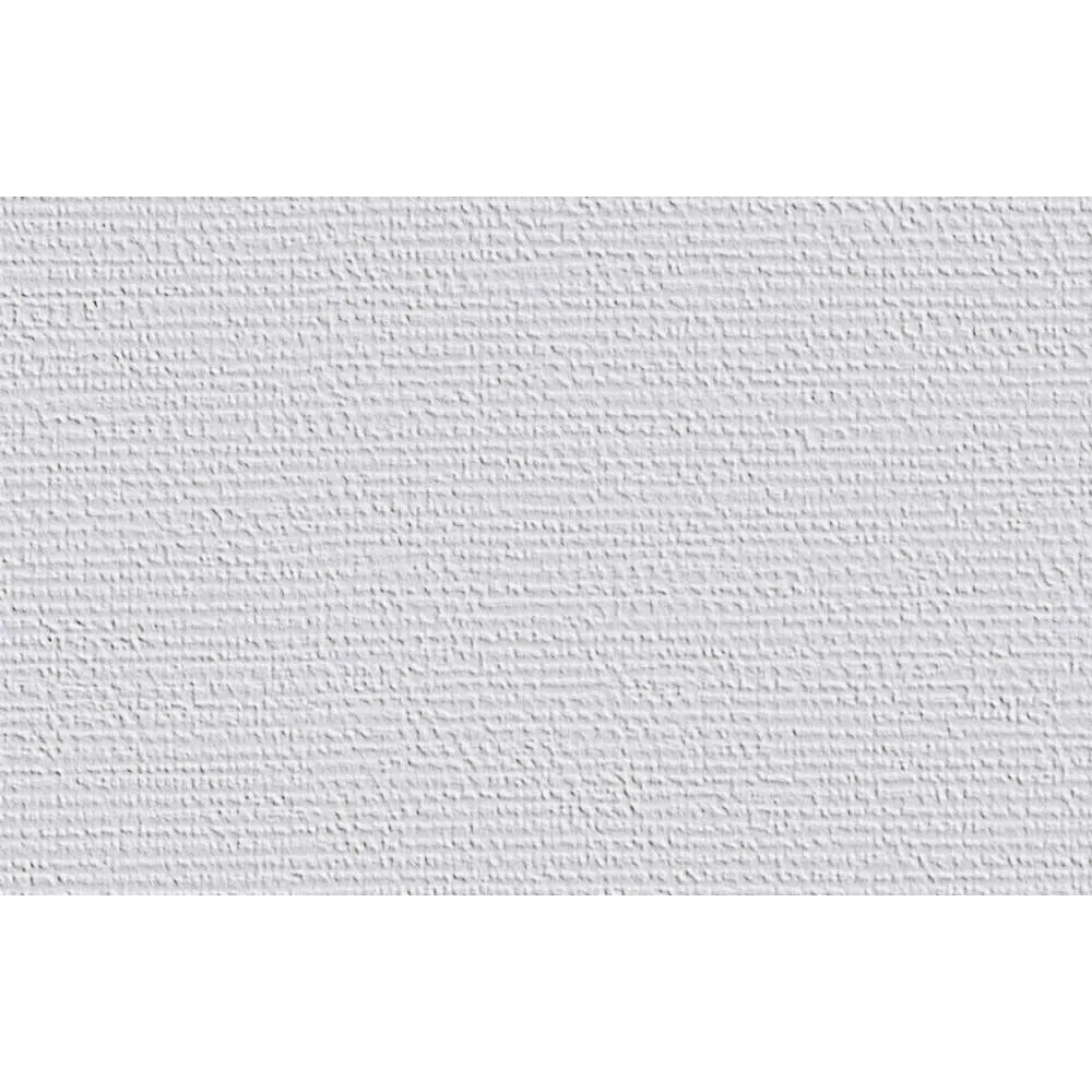 Erfurt Vliestapete Vliesfaser 717 PRO Erfurt Vliestapete Vliesfaser 717 PRO