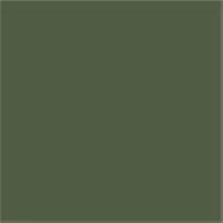 Caparol Capadur Color Wetterschutzfarbe NQG RAL 7009 Grüngrau