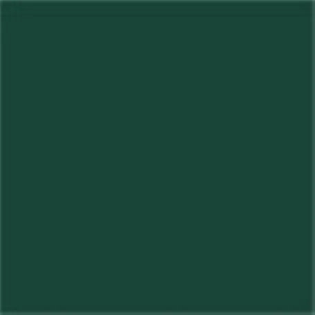 Caparol Capadur Color Wetterschutzfarbe NQG RAL 6026 Opalgrün