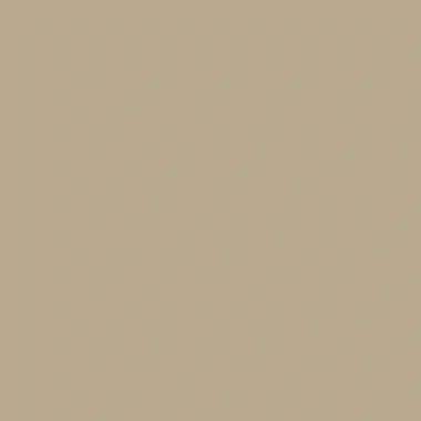 Indeko Plus in Farrow & Ball Drab (41) Wandfarbe Innenfarbe